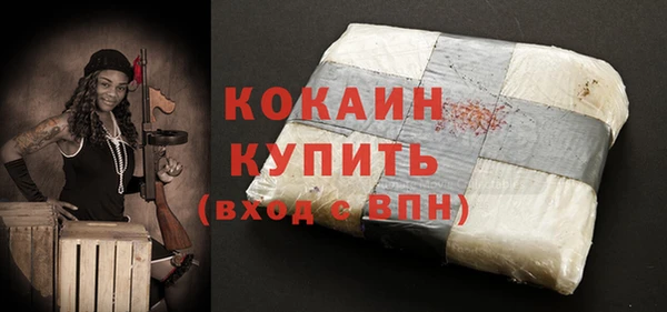 мдпв Богородицк