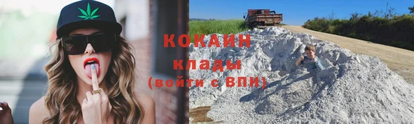 мдпв Богородицк
