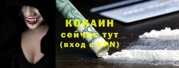 мдпв Богородицк