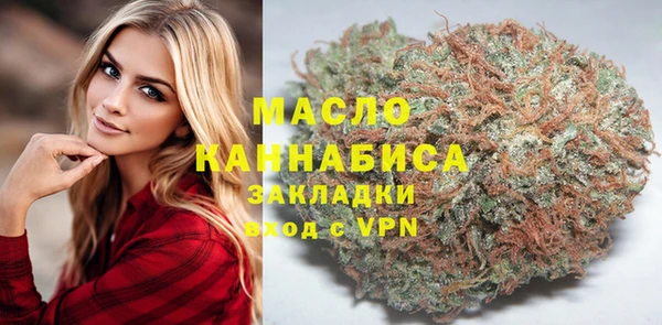мдпв Богородицк