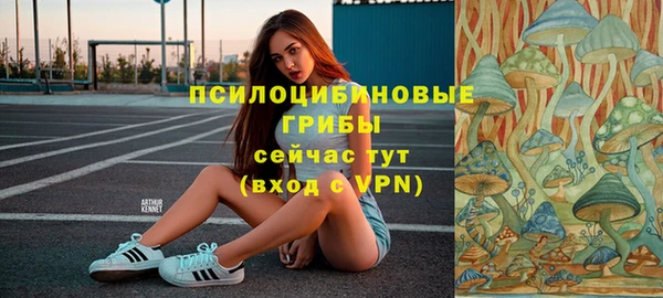 мдпв Богородицк