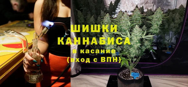 мдпв Богородицк