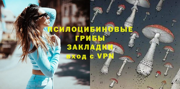 мдпв Богородицк