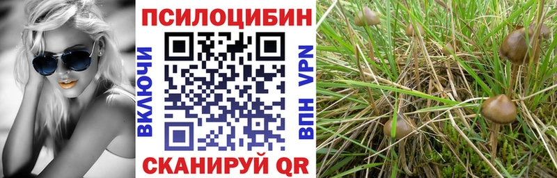 Псилоцибиновые грибы ЛСД  Дрезна 